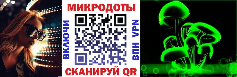 Псилоцибиновые грибы Psilocybe  Купить где  Сунжа 